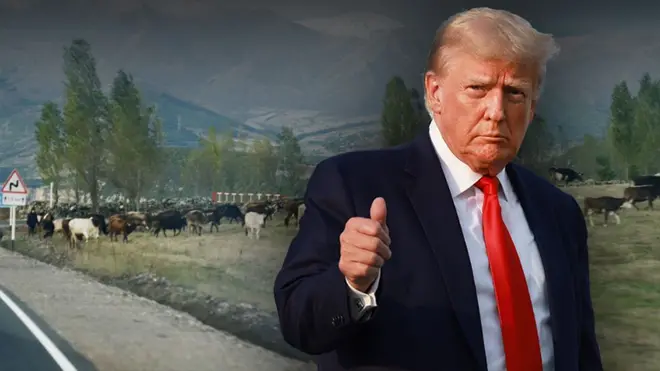 Би-би-си побывала на месте будущей стройки «дороги Трампа» – на руинах старой советской дороги вдоль границы Армении и Ирана.