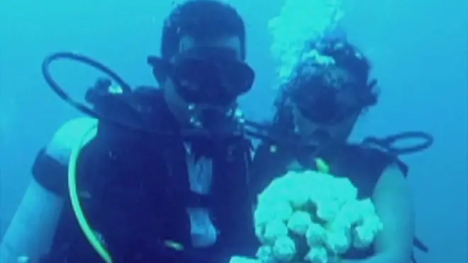 سری لنکن جوڑا