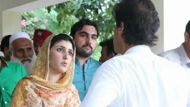 عائشہ گلالئی کا شمار تحرکِ انصاف کے ابھرتے ہوئے نوجوان سیاست دانوں میں ہوتا تھا۔