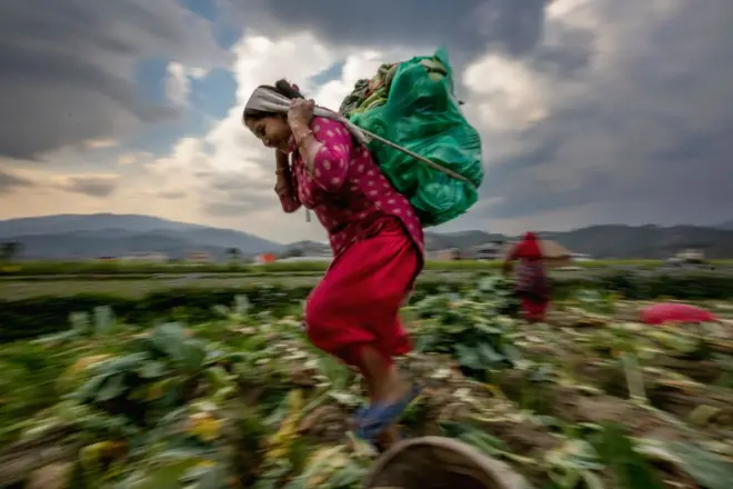 नेपाली किसान