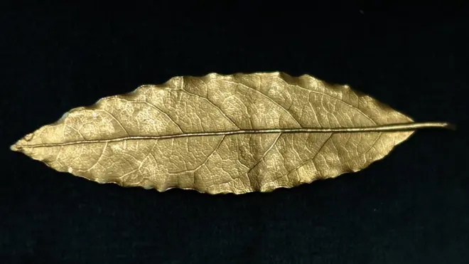 یہ طلائی پتّا فرانس کے بادشاہ نیپولین بوناپارٹ کے تاج میں پیوست تھا