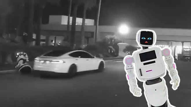 Промобот и Тесла