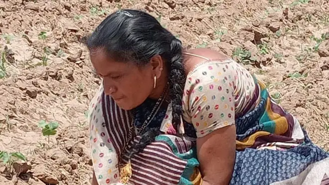 ગુજરાતી મહિલા ખેડૂત