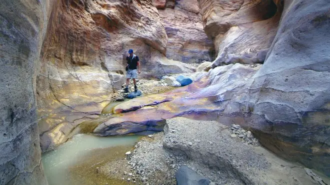 محمية ضانا للمحيط الحيوي