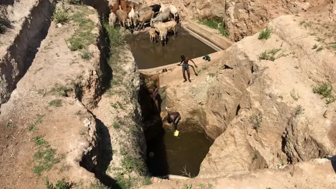 Tulaa saglan Booranaa keessaa tokko