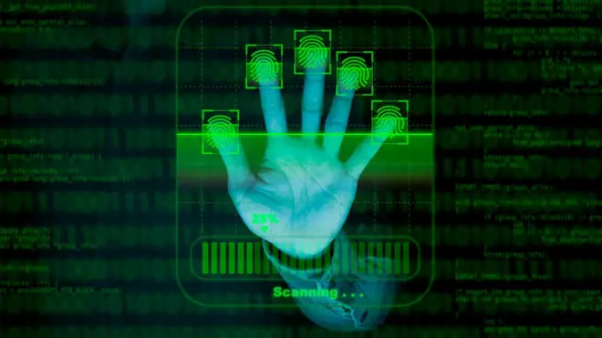 వేలిముద్రలు