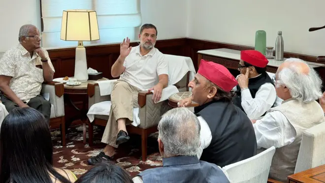 राहुल गांधी और विपक्ष के सांसद