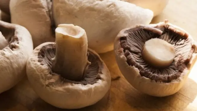 تناولت الدراسة أربعة أنواع من فطر عيش الغراب قبل وبعد الطهي