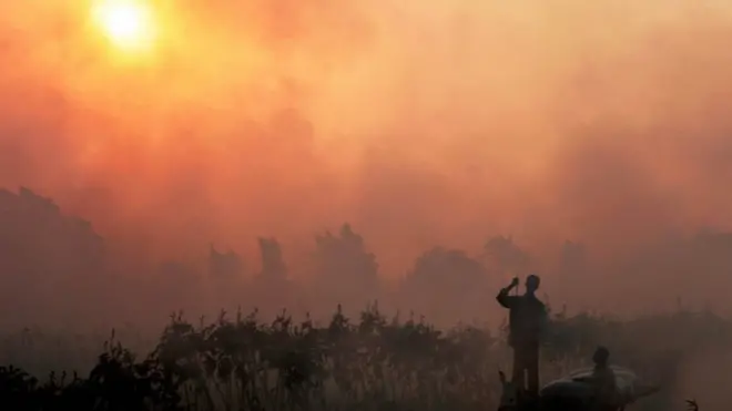 Qiiq ka baxaya meel beeraley ay qashin ku gubeen