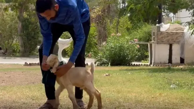 పాకిస్తాన్