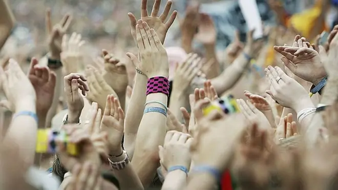 Fans at a festival