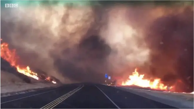 В американском штате Калифорния быстро растет площадь лесных пожаров.