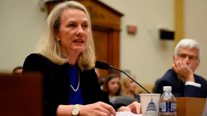 امریکہ کی جنوبی ایشیا سے متعلق خارجہ امور کی قائم مقام نائب سیکرٹری ایلس ویلز