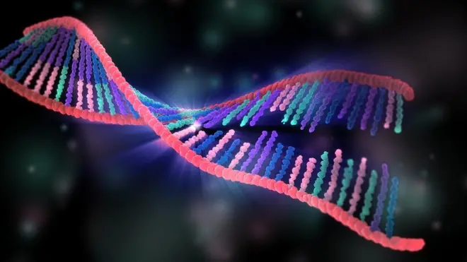 رسم توضيحي لتركيبة الدي إن إيه