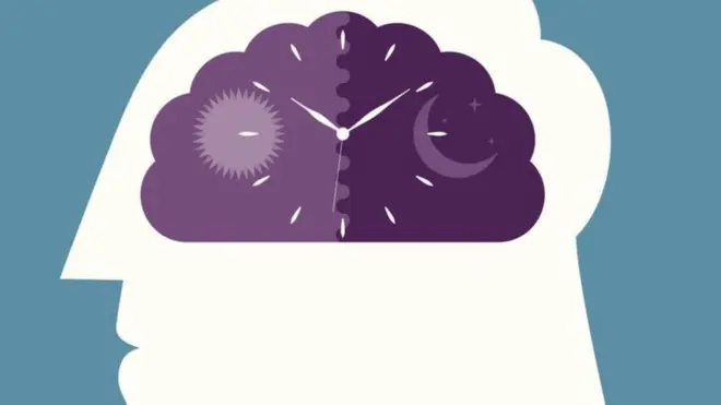 ساعتی درون سلول‌های بدن به کار مشغول است