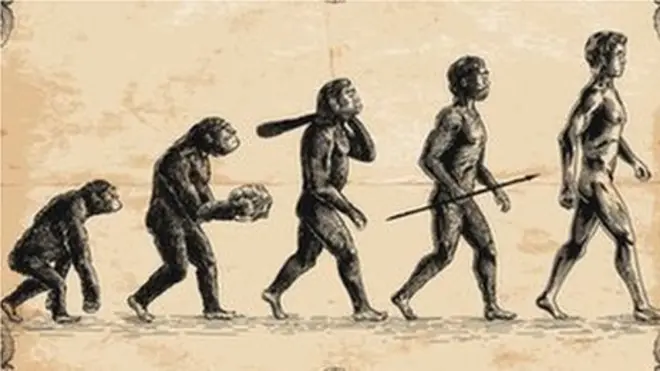 Les humains et les singes ont des ancêtres en commun