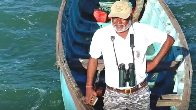 व्हेल शार्क