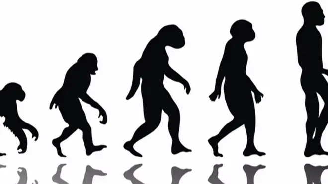 без еволюції