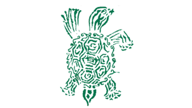 La tortuga es "lenta, pero implacable", dicen los familiares de los desaparecidos.