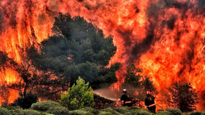 Лесной пожар