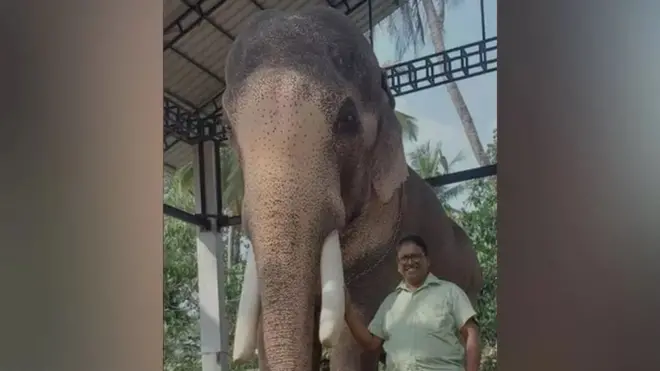 Thechikottukavu Ramachandran