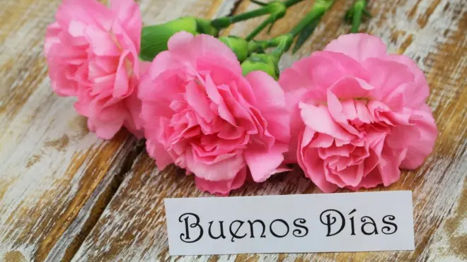 Utilizar saludos en plural es algo absolutamente específico de nuestro idioma.