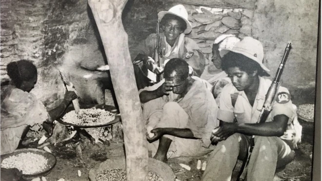 ተጋደልቲ ህወሓት