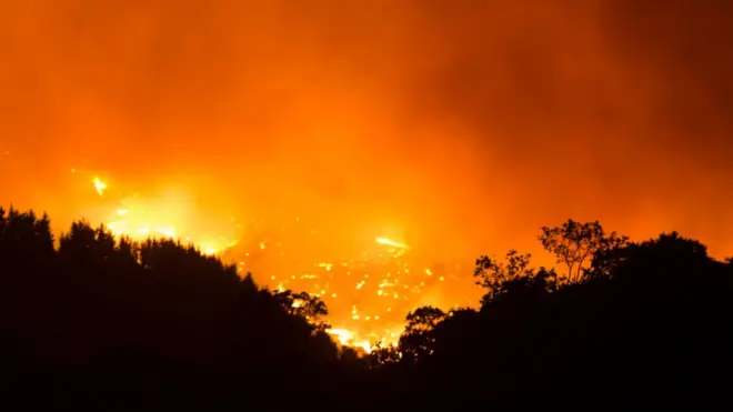 Лесной пожар в Испании