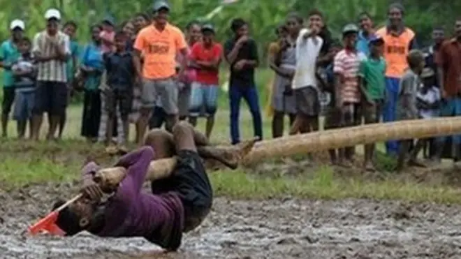 අලුත් අවුරුදු උත්සව