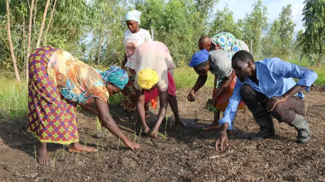 Les femmes apprennent de nouvelles techniques agricoles