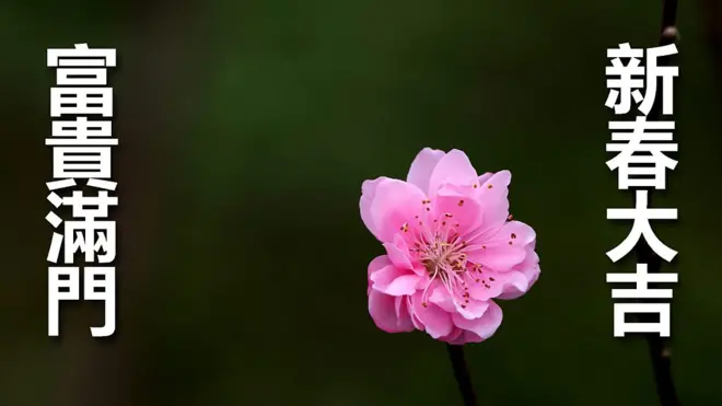不同民族如何過自己的新年？