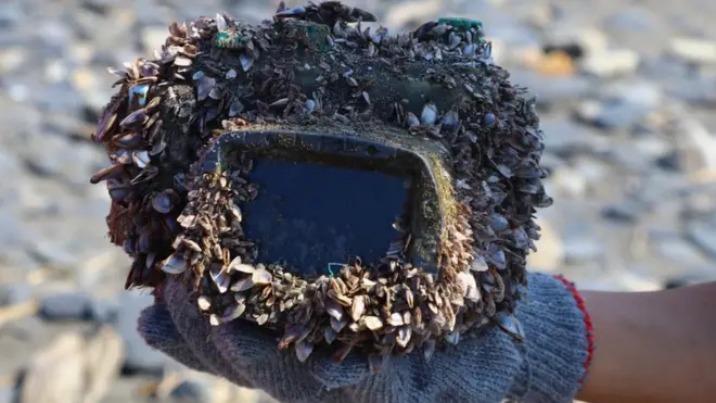 Camera case overgrown with barnacles