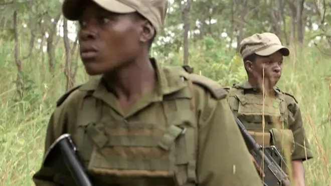 Отряд Акашинга