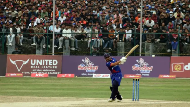 क्रिकेट