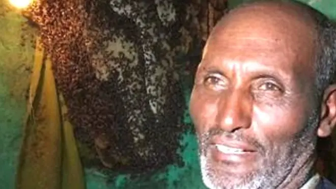 النحل يتبعني حيث أذهب