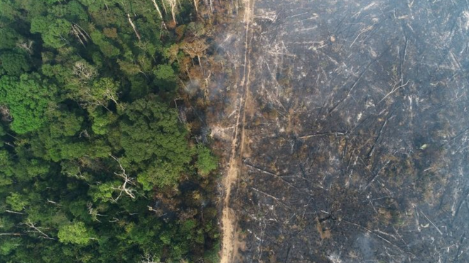 Vista aérea de floresta, com metade da imagem incendiada
