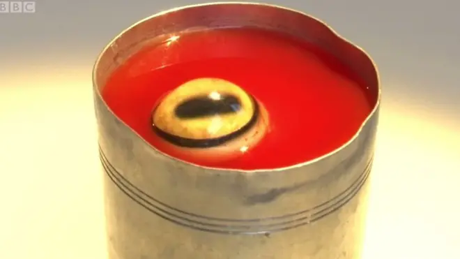 У Музеї гидотної їжі можна спробувати сік очного яблука монгольської вівці.