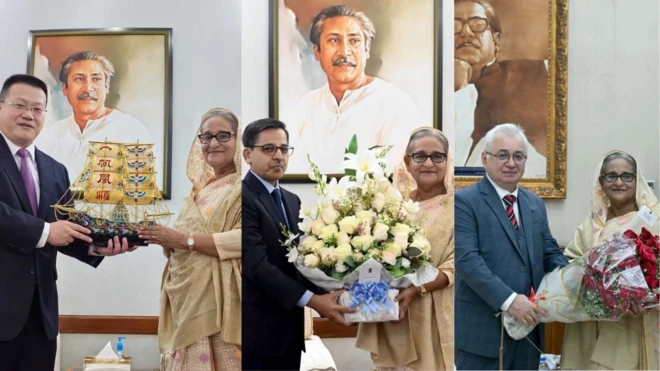 শেখ হাসিনা