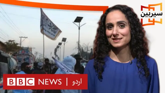 بی بی سی اردو سیربین