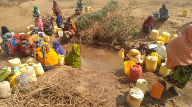 Namoota qe'ee ongeen miidhetti bishaan soqaaa jiran