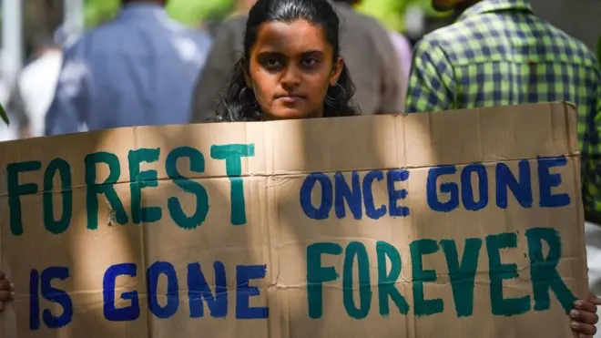 అడవుల సంరక్షణ కోసం ప్రచారం