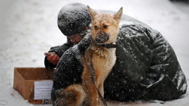 Бездомный с собакой