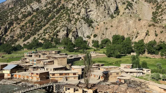 ویل کېږي هغه ځنګل چې اور په کې لګېدلی د څېړیو تر څنګ د ځنغوزیو او پیستو ونې هم شته