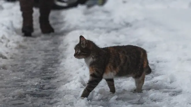 МЧС предупредило о гололеде в Москве