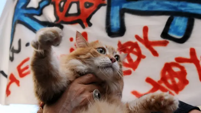 2012'deki hayvan hakları eyleminden bir fotoğraf.