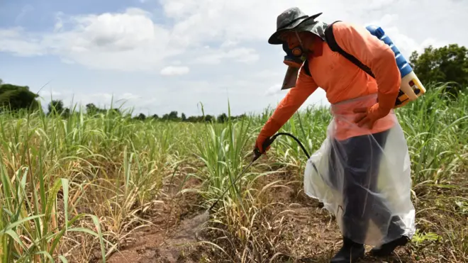 พาราควอต