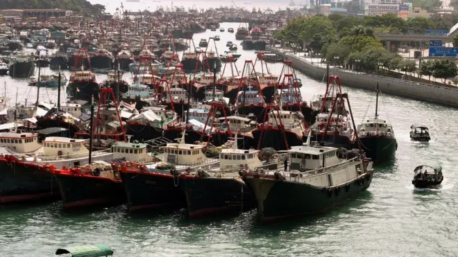 เรือประมงฮ่องกง