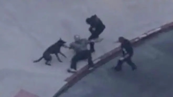 كلب شرطة ينقض على لص بعد مطاردة مثيرة