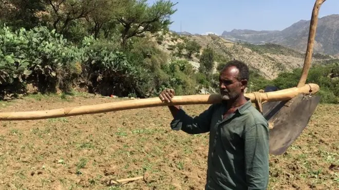 ሓረስታይ ተስፋይ ኣሰፋ መጃብር ተሰኪሞም ናብ ግራት እንትወፍሩ