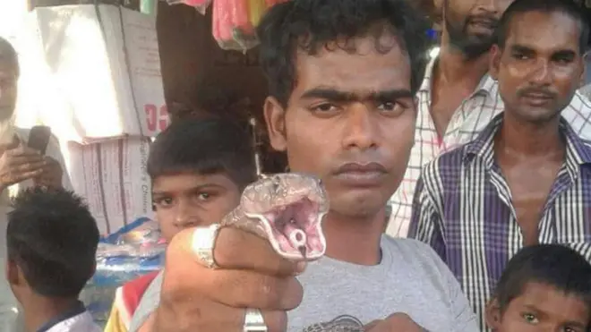 छोटू नागराज